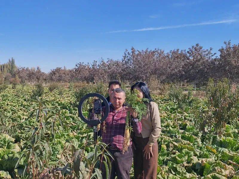 国科服务苹果版墨玉国科服务管理平台软件下载